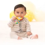 Infantino - Lion Teether (F216274) - Image 4